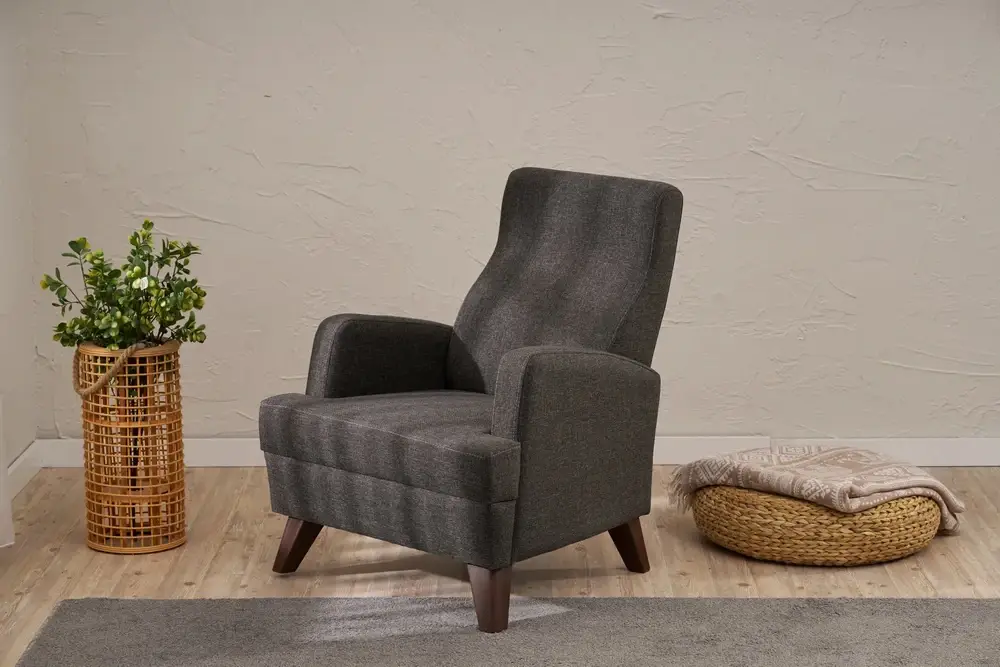 Aly Serisi Tekli Koltuk Antrasit